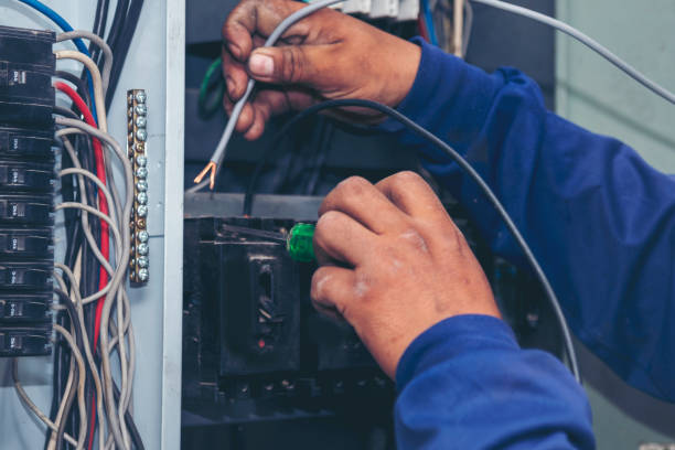 Best Electrical System Inspection  in Loughman, FL